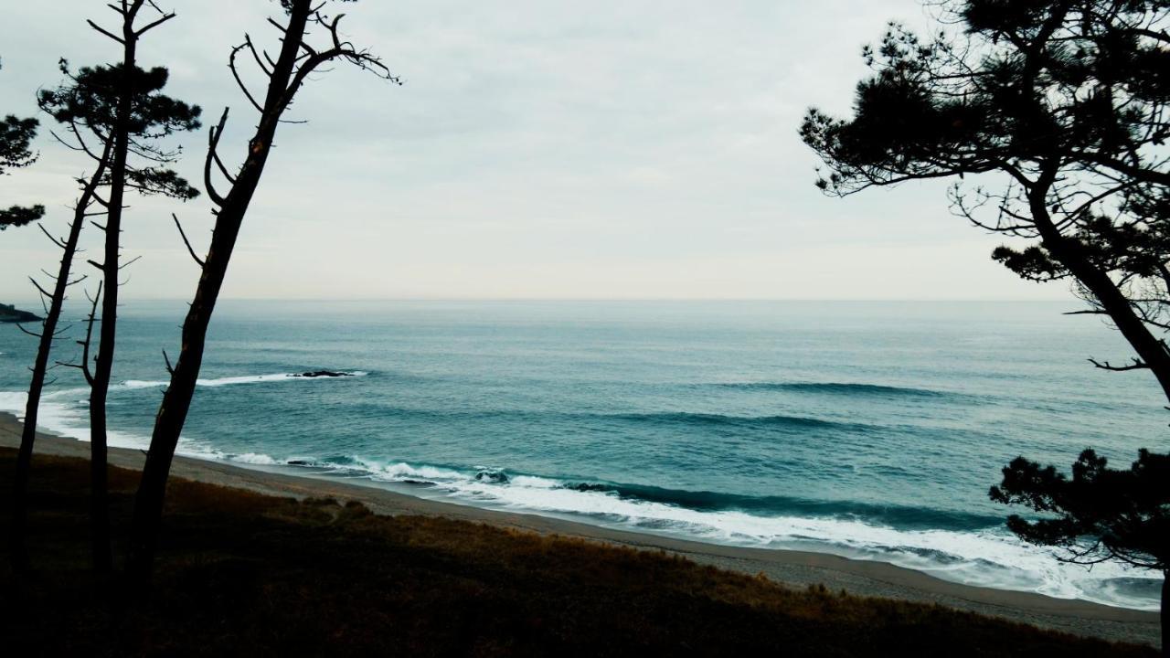 Apartamentos Puerto Norte - Apto 3 プエルト・デ・ベガ エクステリア 写真